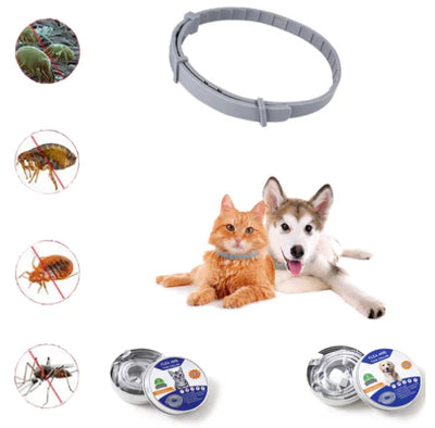 Anti Zecken & Flöhe Halsband für Hunde und Katzen